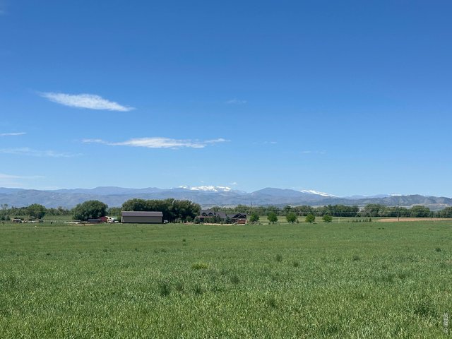 Property Photo 18 Surrounded by other large-acreage properties, this parcel provides a rare sense of privacy without sacrificing convenience