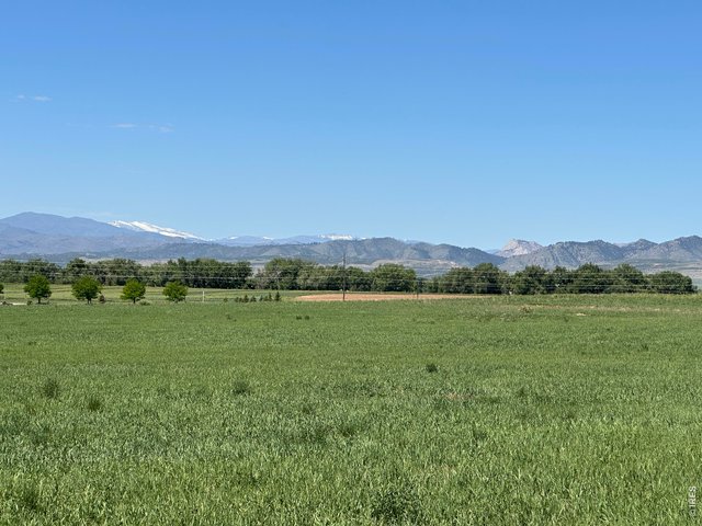 Property Photo 14 The terrain offers numerous possibilities for a future homesite, including the potential for a walkout-style design depending on final site planning and approvals