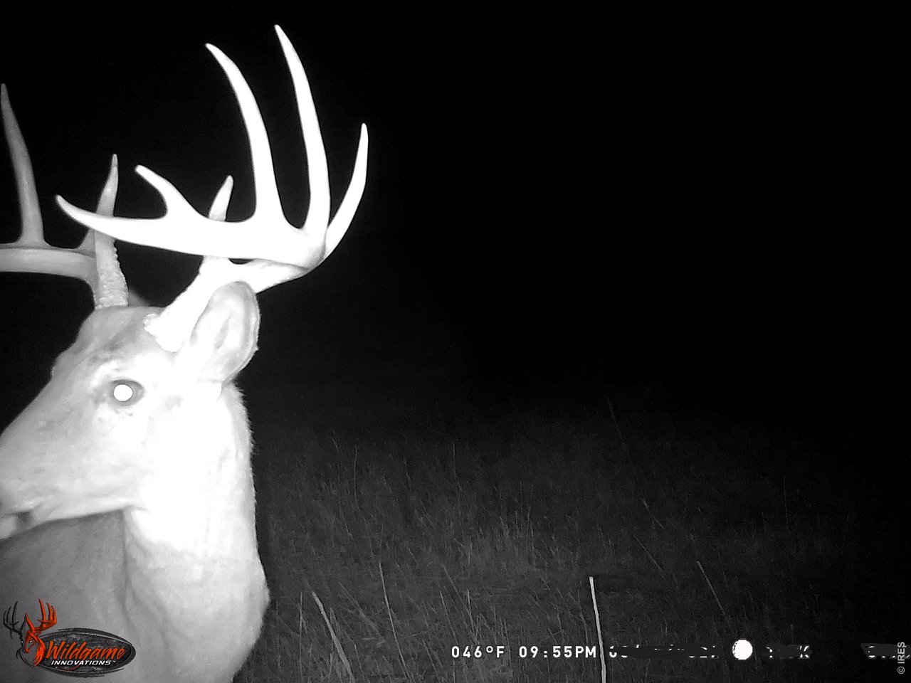 Property Photo 24 Ample wildlife are frequently spotted on the property including waterfowl, mule deer & whitetail deer.