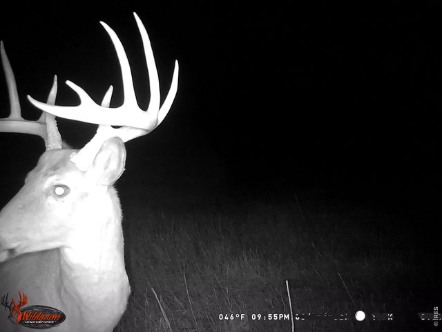 Property Photo 24 Ample wildlife are frequently spotted on the property including waterfowl, mule deer & whitetail deer.
