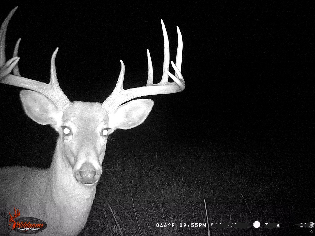 Property Photo 25 Ample wildlife are frequently spotted on the property including waterfowl, mule deer & whitetail deer.