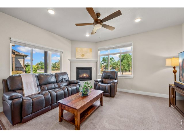 Property Photo 6 Gas Fireplace in Living Room
