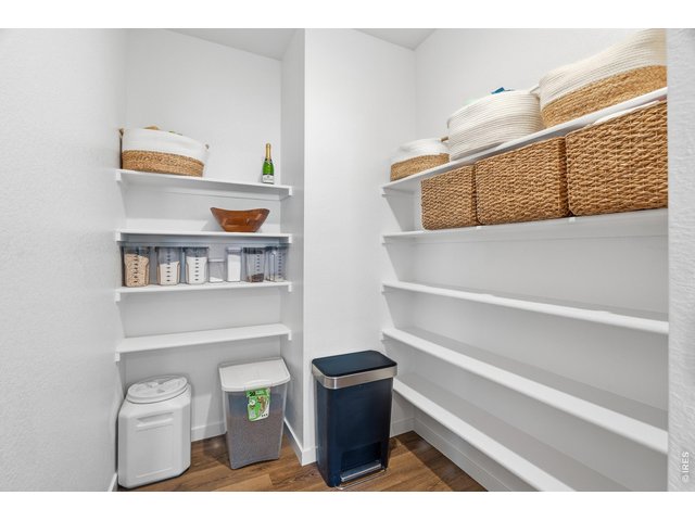 Property Photo 10 Huge walk-in pantry with extra shelving keeps everything organized and within reach.