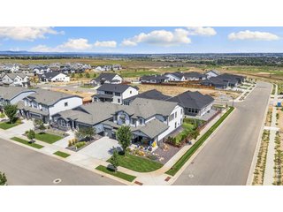 1828 Golden Sun Dr Windsor, CO 80550