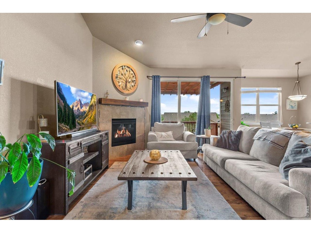 Property Photo 7 Gas fireplace