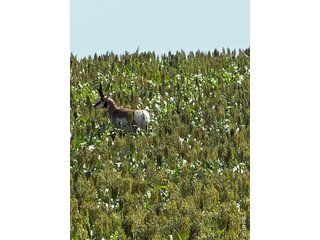 26 gg Rd Snyder, CO 80750
