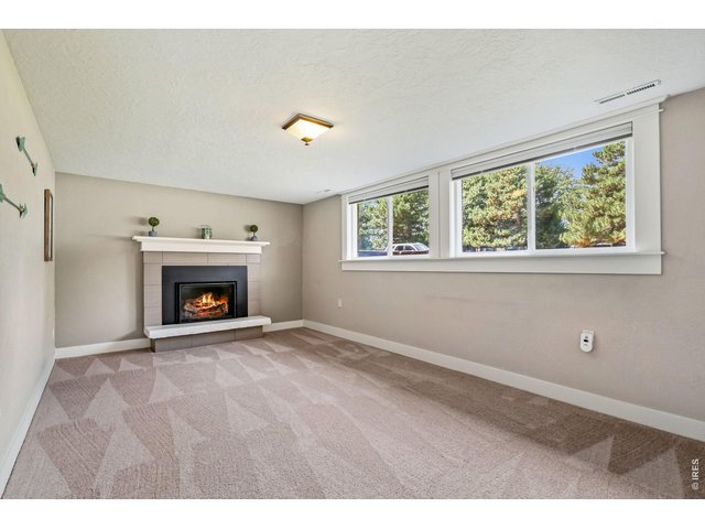 Property Photo 15 Family room in lower level with gas fireplace