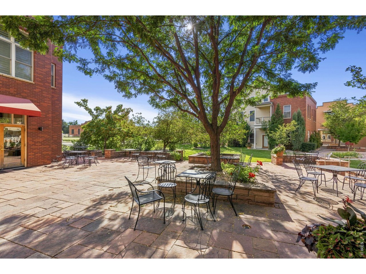 Property Photo 29 Mason Street North Courtyard