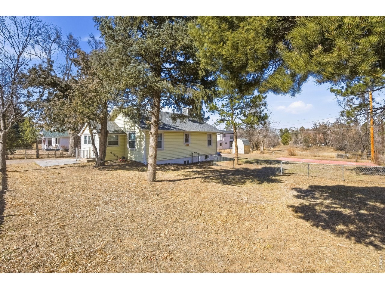 Property Photo 2 Large mature trees and plenty of space to roam!