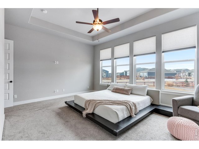 Property Photo 24 Tray Ceiling