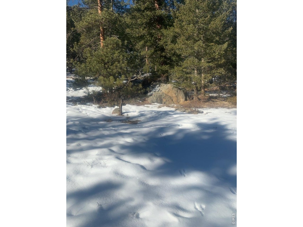 Property Photo 17 