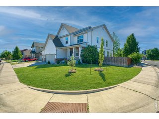 1667 Kelmsley Ct Windsor, CO 80550
