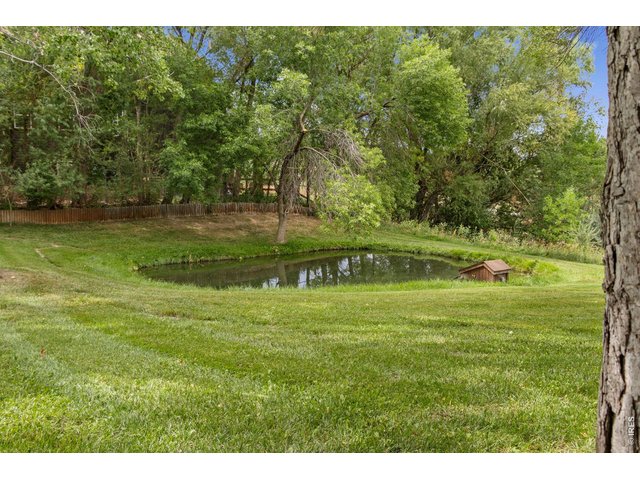 Property Photo 42 Serene private pond on 1.82 acres, a peaceful sanctuary perfect for fishing and attracting local wildlife like deer.