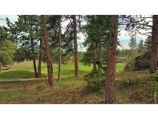 520 Fox Acres Drive W Dr W Red Feather Lakes, CO 80545