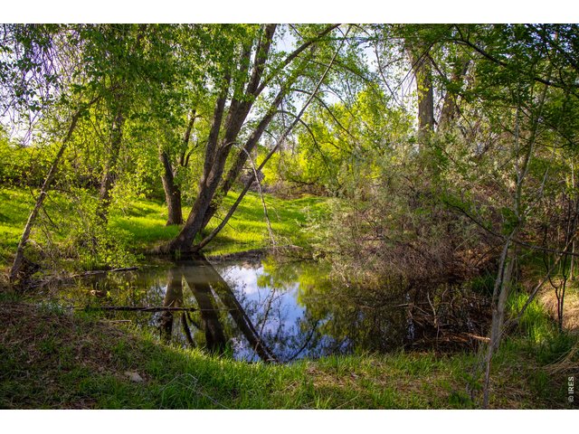 Property Photo 30 Wooded areas and ponds create a remarkably different setting within the eastern portion of the property.