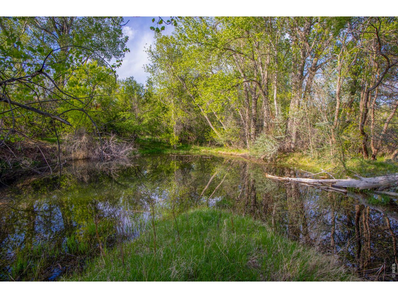 Property Photo 31 One of the property's ponds tucked among mature trees and vegetation near the river corridor.