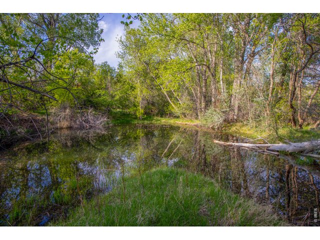 Property Photo 31 One of the property's ponds tucked among mature trees and vegetation near the river corridor.
