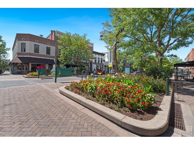 Property Photo 46 