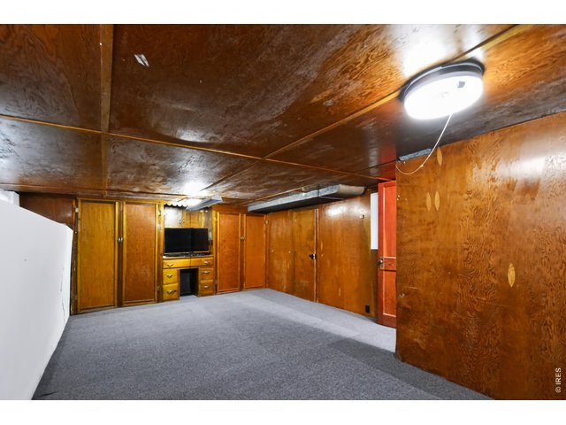 Property Photo 20 Finished portion of basement with new carpet.