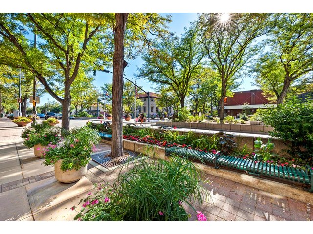Property Photo 41 