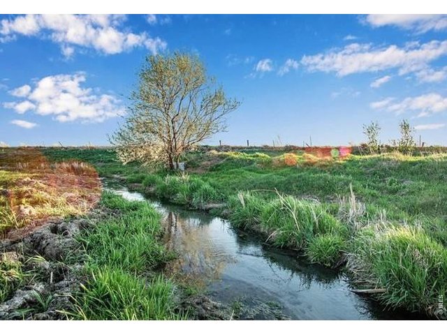 Property Photo 7 Year round stream just west of the property. Portions of the stream can be seen from the subject property up on the hill.