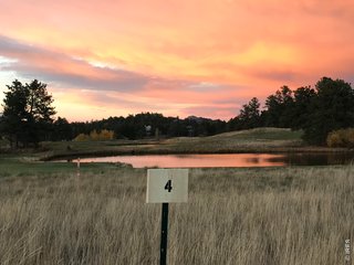 4 Fox Meadow Ln Lot 4 Red Feather Lakes, CO 80545