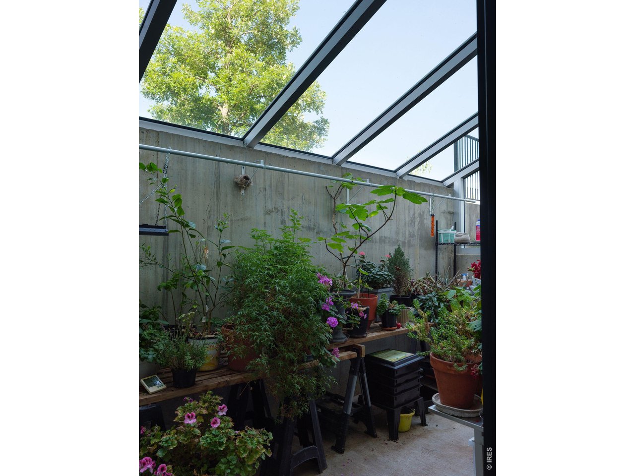 Property Photo 39 For the green thumb in the family