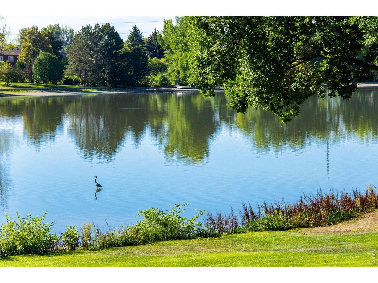 Property Photo 5 HOA includes maintaince of the stunning common area and recreational lake rights to Williams Lake (Parkwood Lake) non-motorized only. Gorgeous Park-like common area to the south. Community paddle boat.