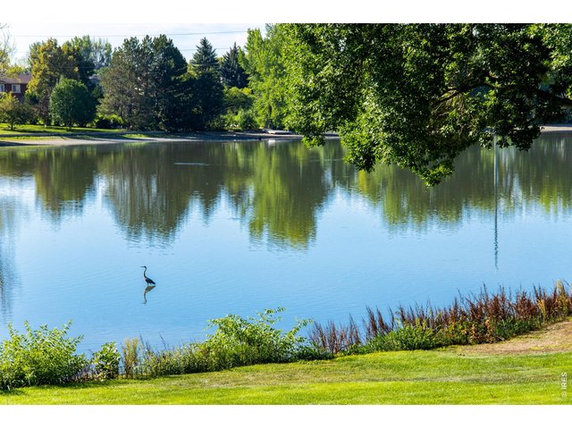 Property Photo 5 HOA includes maintaince of the stunning common area and recreational lake rights to Williams Lake (Parkwood Lake) non-motorized only. Gorgeous Park-like common area to the south. Community paddle boat.