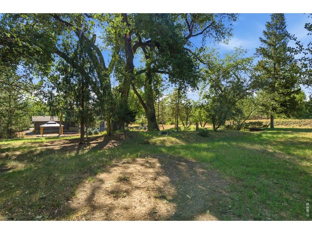 Property Photo 45 Room for your dogs to roam? Cool tree houses? Ropes course?....you choose!