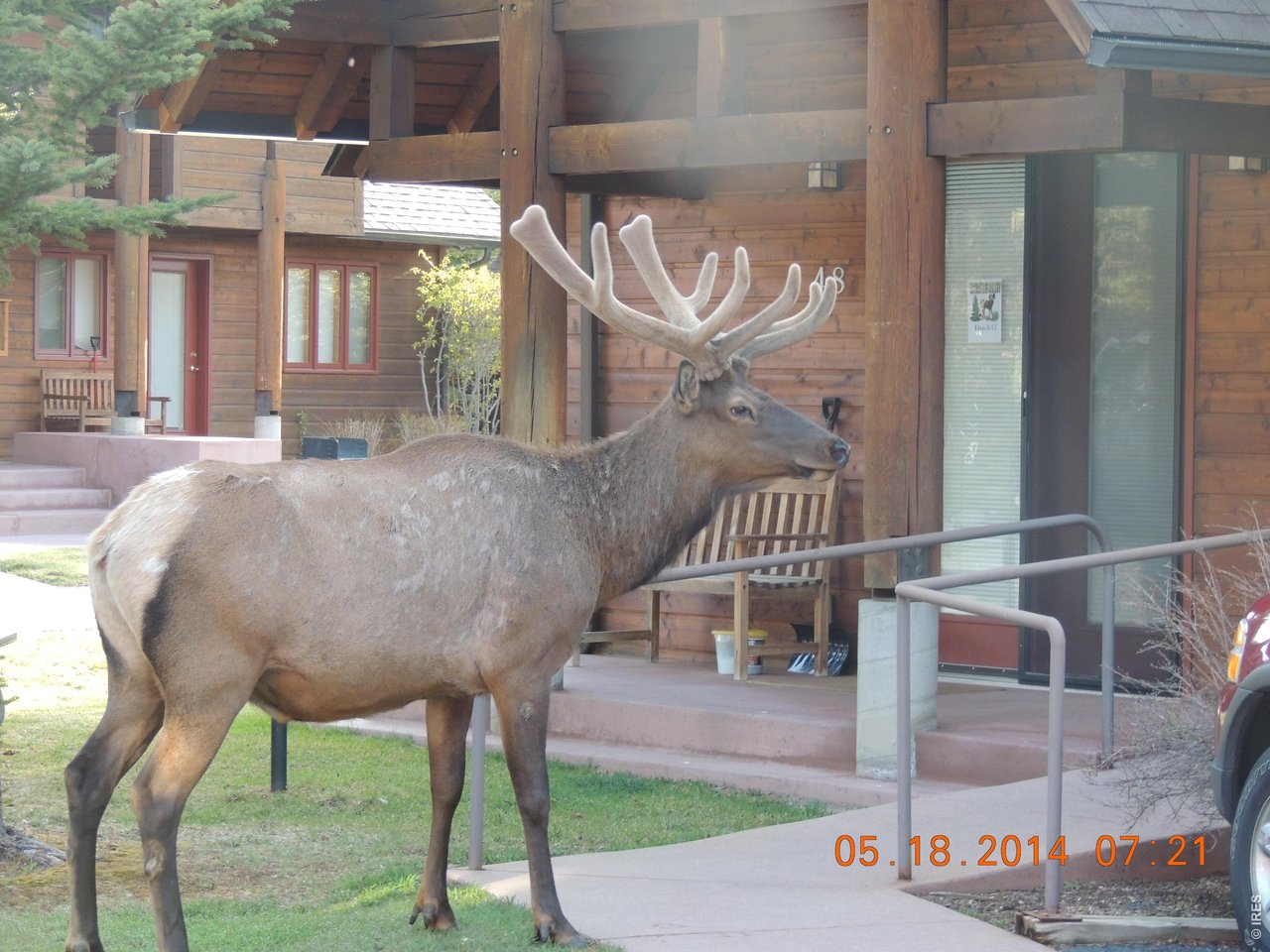 Property Photo 7 