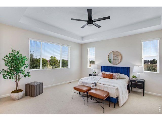 Property Photo 29 Spacious primary bedroom with retreat features a trey ceiling and fan