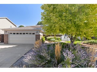 743 Ponderosa Dr Windsor, CO 80550