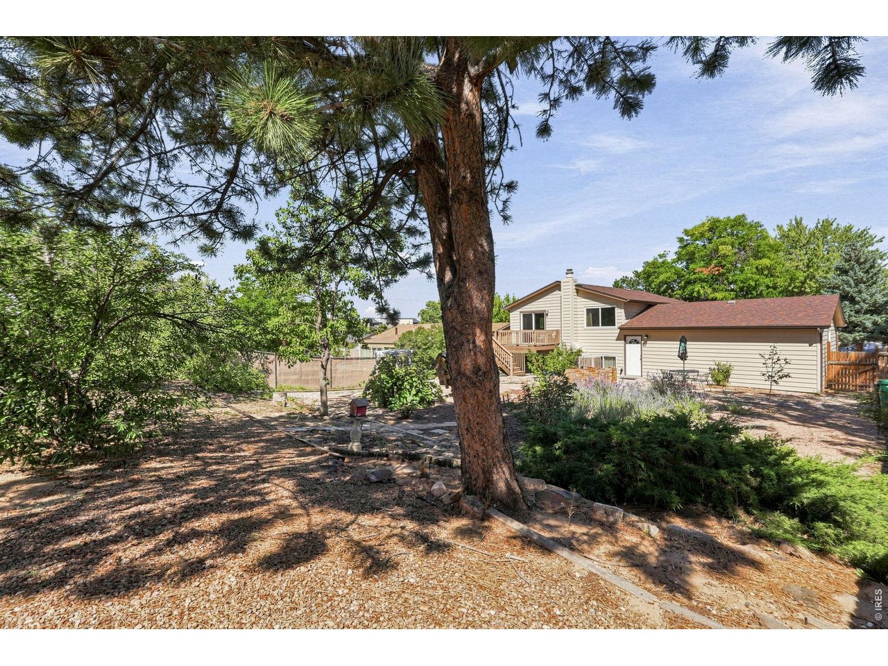 Property Photo 42 Expansive backyard features a Trex deck, patio, fruit trees, and grapevines, providing plenty of room for outdoor enjoyment and gardening