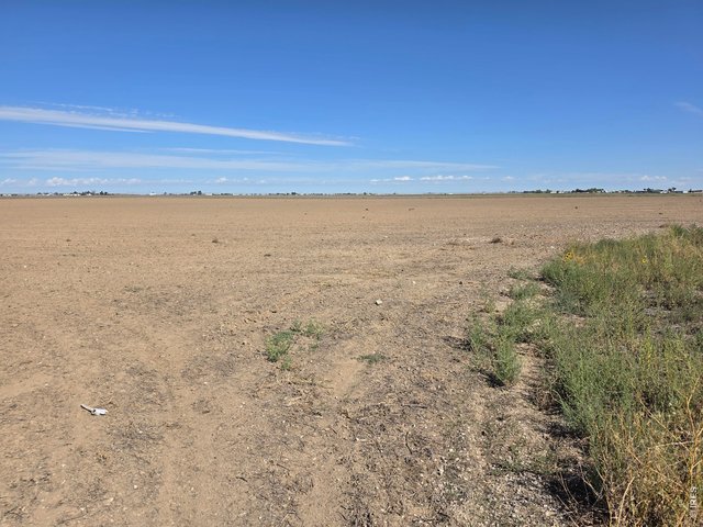 Property Photo 3 40 Acres!