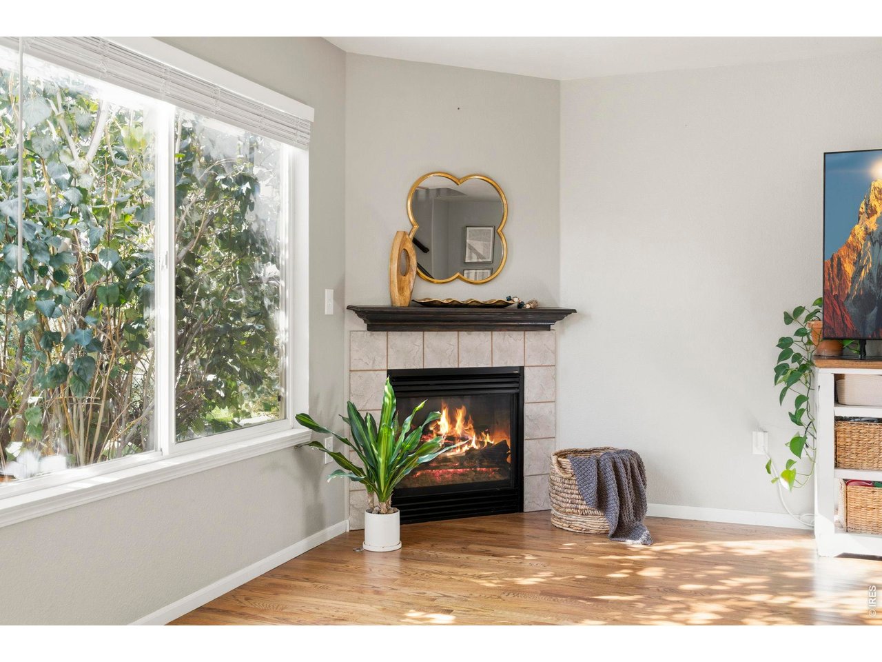 Property Photo 13 Gas fireplace for those cold mornings (or evenings)