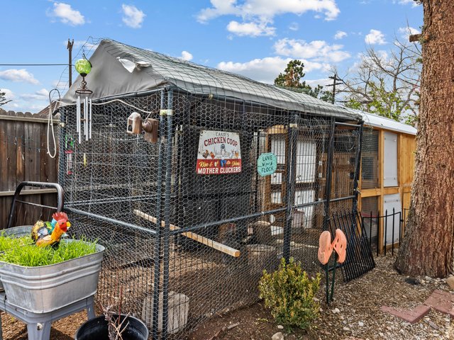 Property Photo 18 Get your eggs from your own source.  Chickens in your coop produce at least four eggs a day.