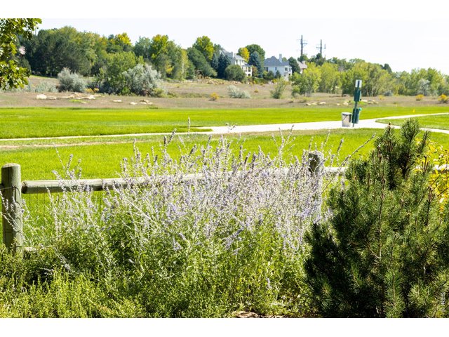 Property Photo 49 Quiet Open Space