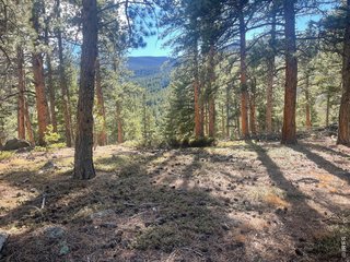 399 N Skinner Rd Allenspark, CO 80510