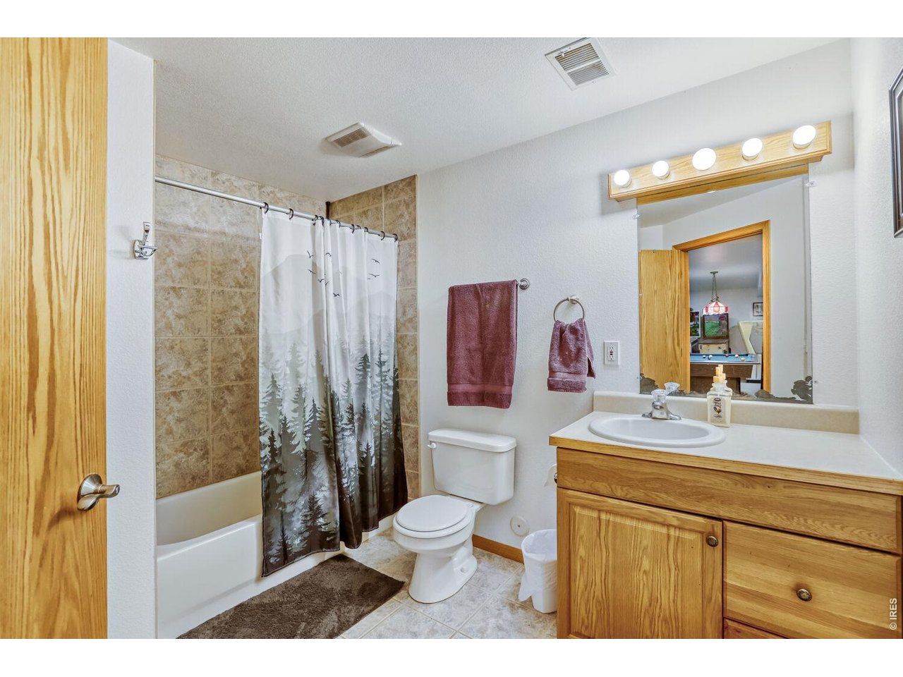 Property Photo 26 Basement Bath