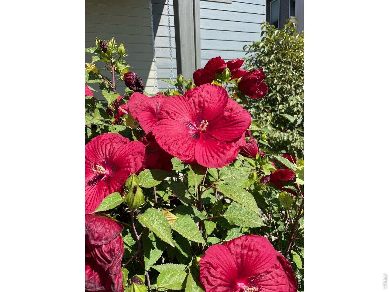 Property Photo 45 