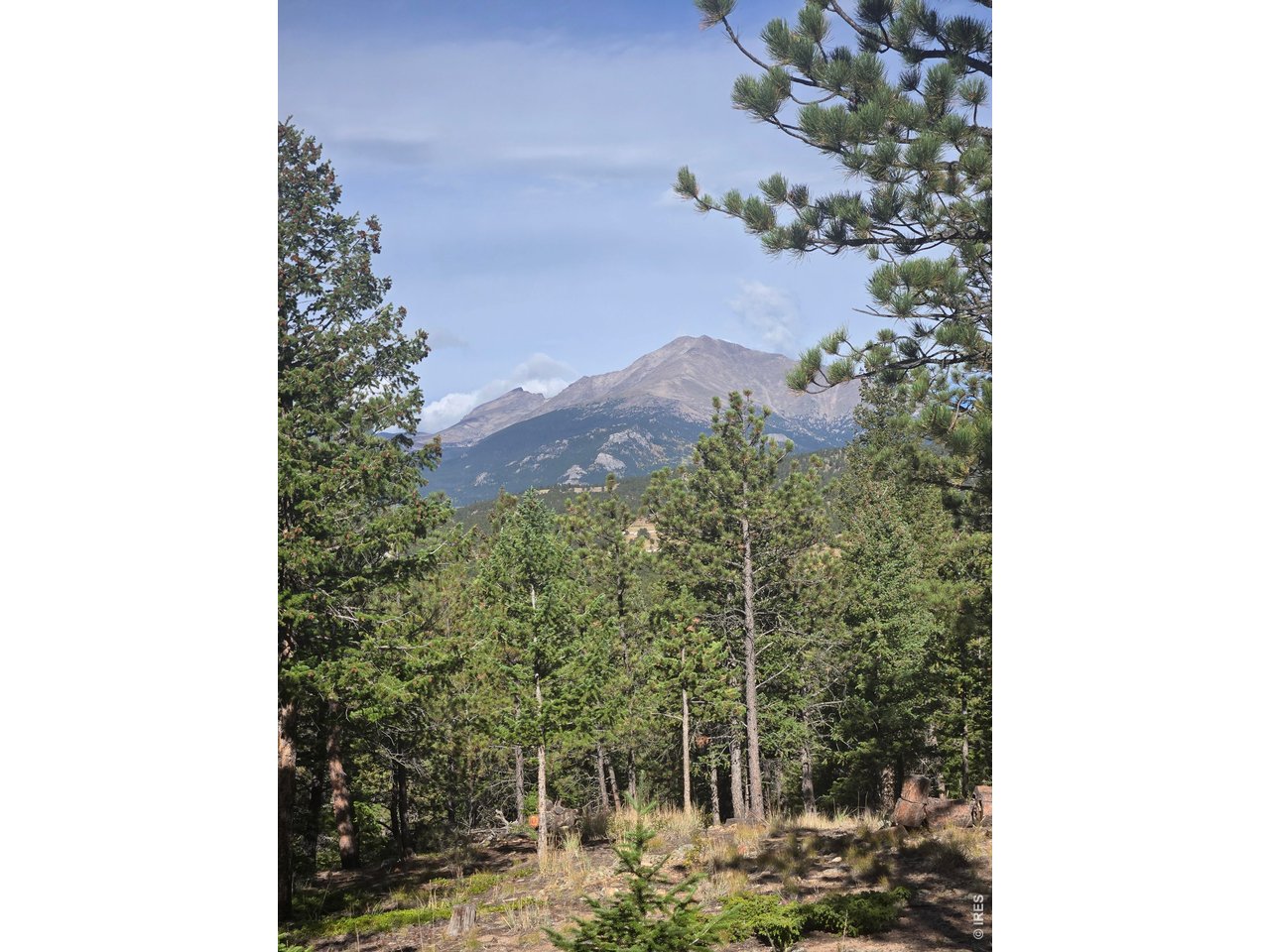 Property Photo 26 