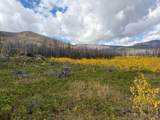 2025 Granite Rd Bellvue, CO 80512