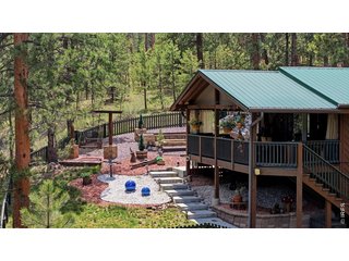 102 Insmont Dr Bailey, CO 80421
