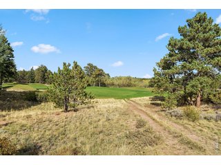 (TBD) TBD Juniper Ct Red Feather Lakes, CO 80545