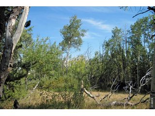 (TBD) Wilderness Ranch Rd Sand Creek Township, CO 82070