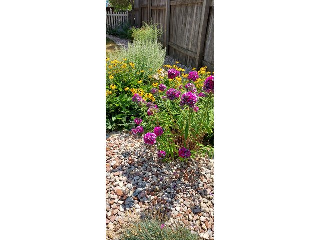 Property Photo 29 