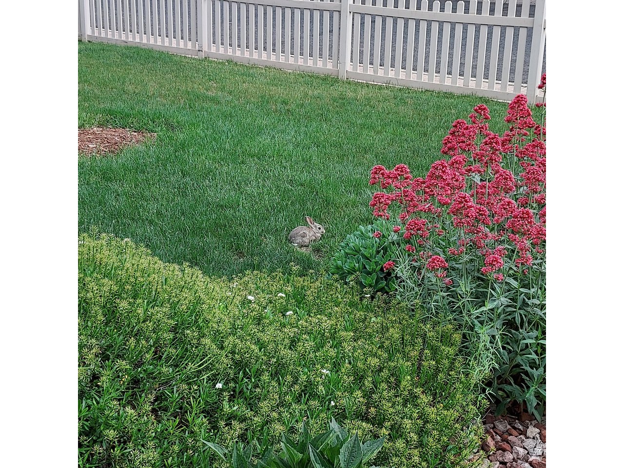 Property Photo 30 