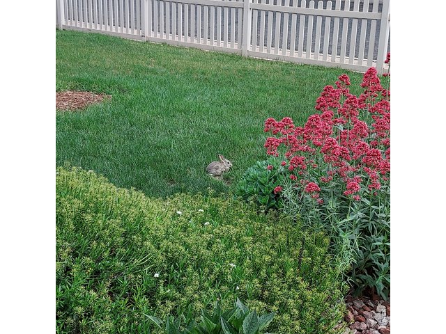Property Photo 30 