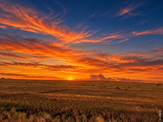 (TBD) TBD County Road 27 Pierce, CO 80650